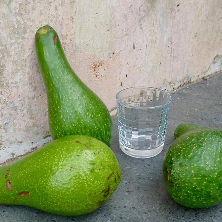 Casa Puccini B&B ماراتييا المظهر الخارجي الصورة