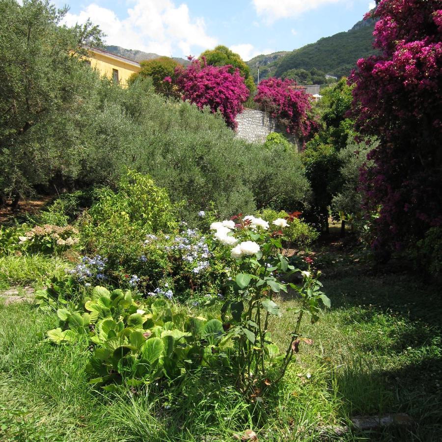 Casa Puccini B&B ماراتييا المظهر الخارجي الصورة