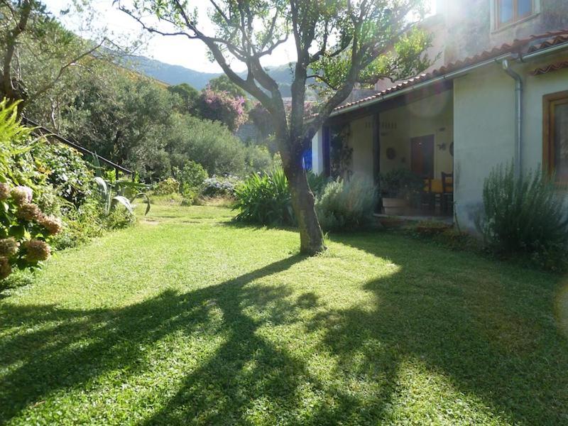 Casa Puccini B&B ماراتييا المظهر الخارجي الصورة
