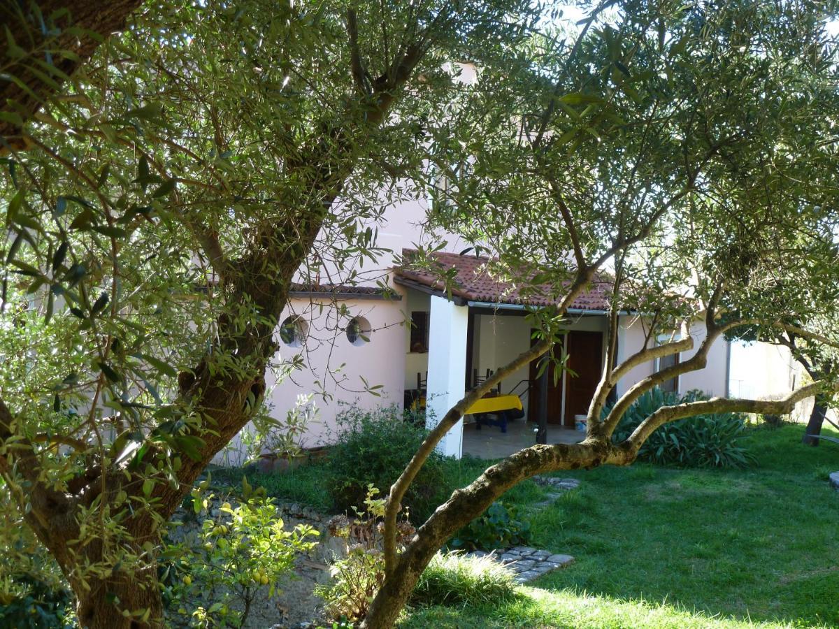 Casa Puccini B&B ماراتييا المظهر الخارجي الصورة